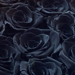 large-20-roses-black141