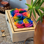 mini-6-roses-rainbow196