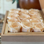 medium-12-roses-ivory25